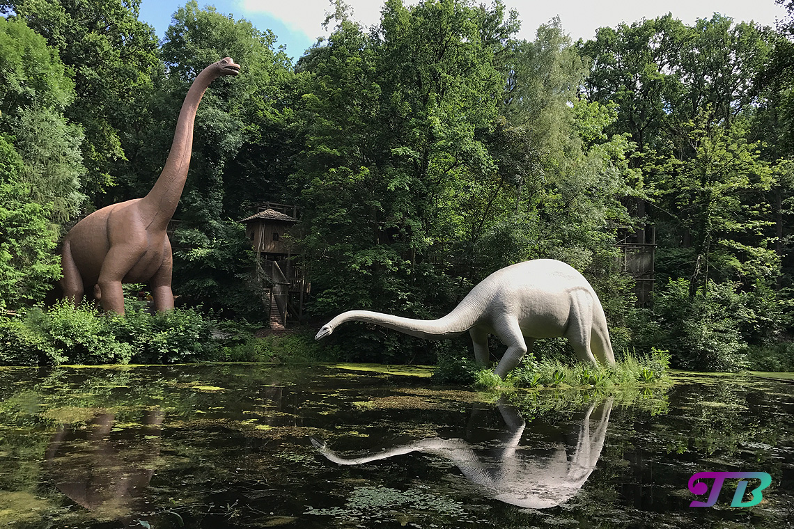 Saurierpark Kleinwelka Saurier Brachiosaurus Diplodocus
