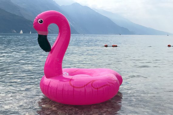 Flamingo Trend - Aufblasbarer Schwimm-Flamingo