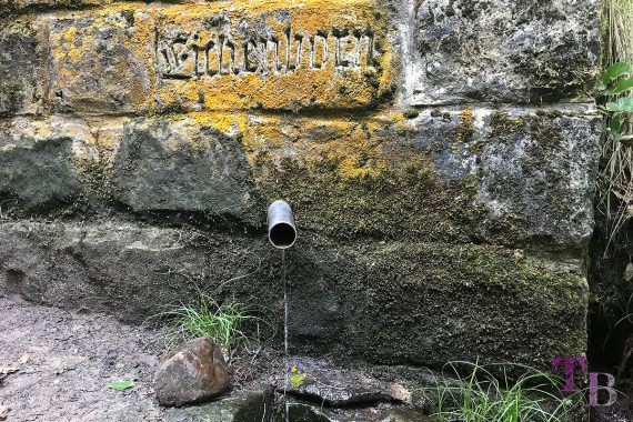 Affensteine Sächsische Schweiz Wasserquelle