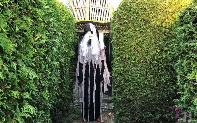 Kostümprobe für die Halloween-Party oder: Geisternacht im Irrgarten Kleinwelka
