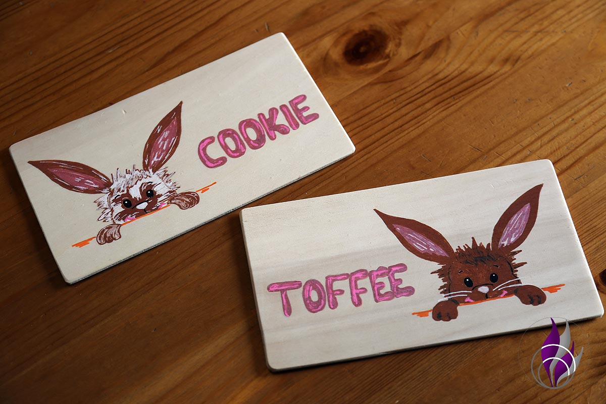 Namensschilder für unser Hasen Cookie und Toffee – DIY-Projekt mit Holz