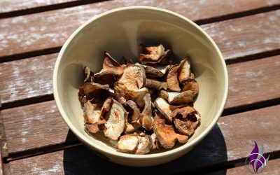 Topinambur-Chips – Kalorienarme Alternative zu Kartoffeln