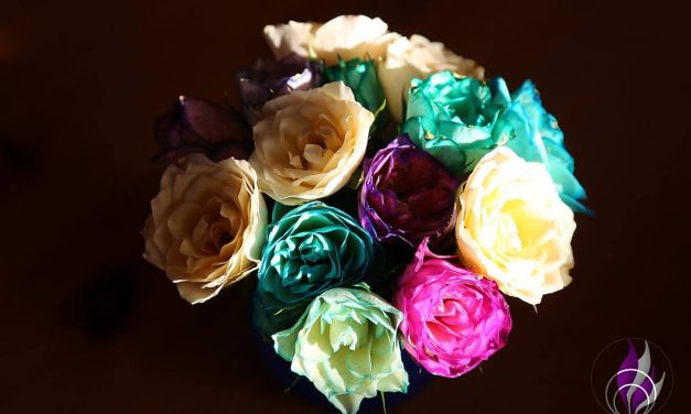 Rosen färben – schöne DIY-Idee für individuelle Blumen-Grüße