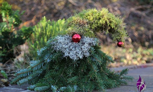 DIY Wichtel aus Moos und Fichtenzweigen – schöne Dekoidee zu Weihnachten