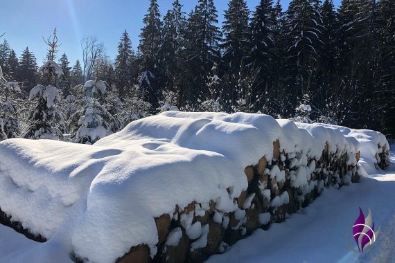 fun4family Winter Wonderland Wald Schnee