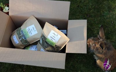 Mr. Crumble – Onlineshop für Tierfutter für Nager, Hunde & Co. Sponsored Post