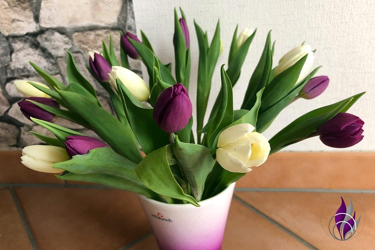 Tulpen Tulpenstrauß Vase Tulpenvase