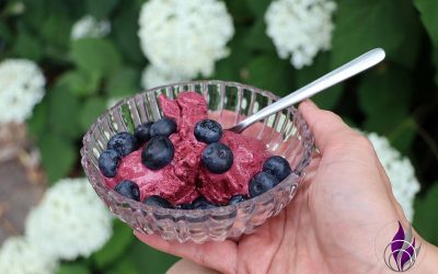 Heidelbeer Frozen Yoghurt – schnell in der Eismaschine zubereitet