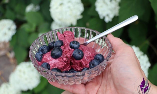 Heidelbeer Frozen Yoghurt – schnell in der Eismaschine zubereitet