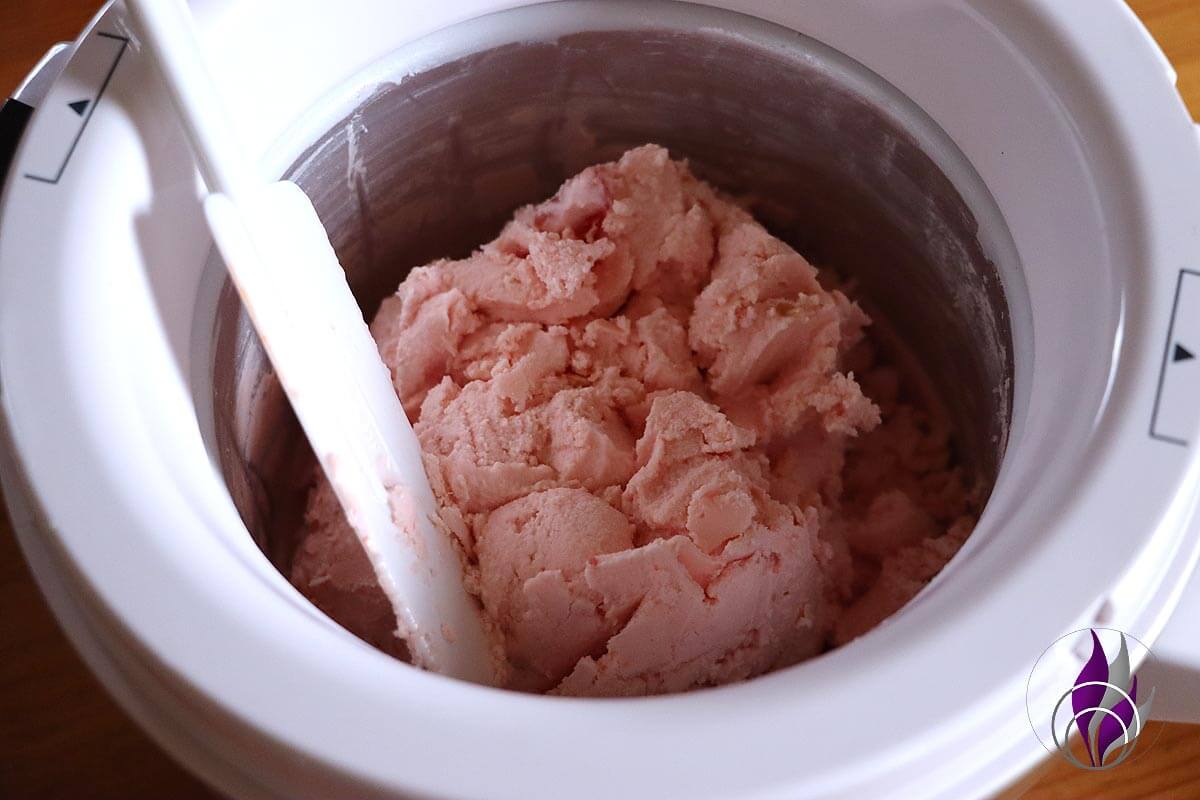 Frozen Joghurt Wassermelone Eismaschine fertig fun4family