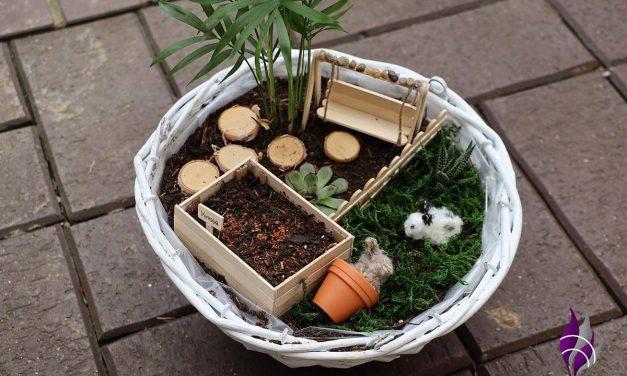 Unsere Mini-Gärten, inspiriert von dem Buch „Bezaubernde Tassengärten“