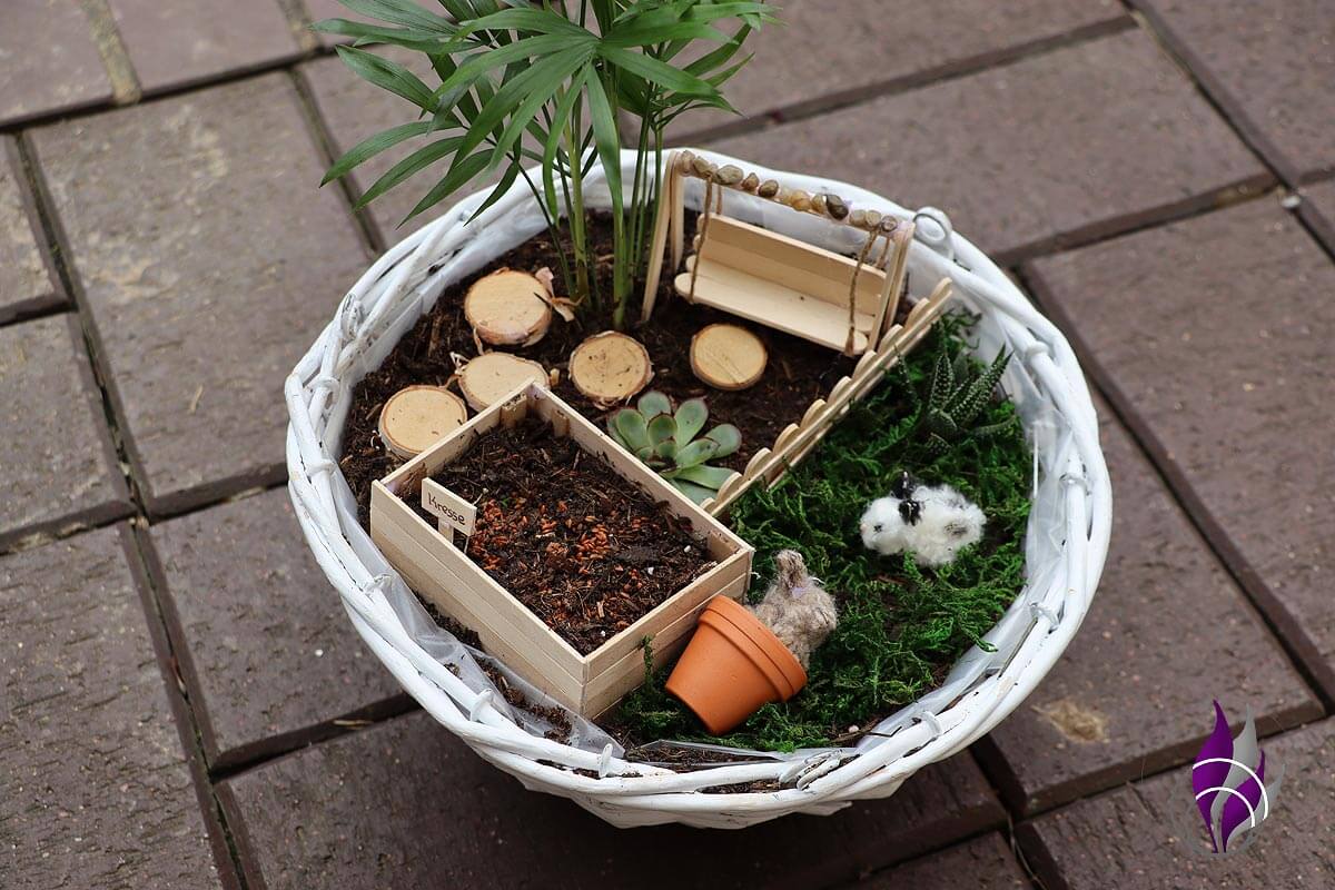 Unsere Mini-Gärten, inspiriert von dem Buch „Bezaubernde Tassengärten“