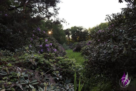 Azaleen- und Rhododendronpark Kromlau Park 1 fun4family