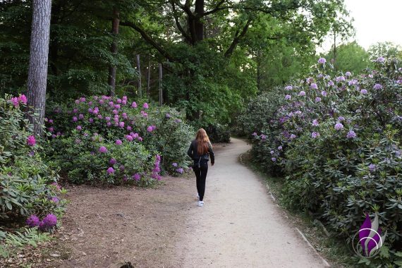 Azaleen- und Rhododendronpark Kromlau Park 2 fun4family