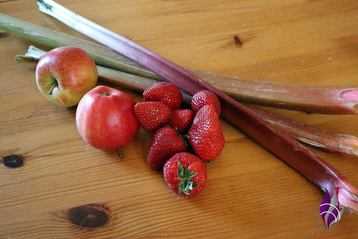 Rhabarber-Erdbeer-Apfel Konfitüre Zutaten fun4family