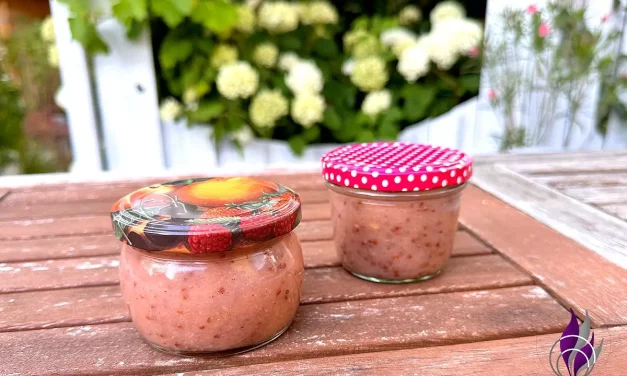 Johannisbeer-Apfel-Aufstrich – Unser Rezept