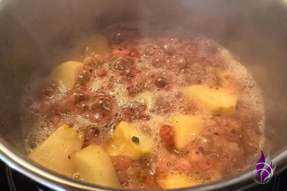 Johannisbeer-Apfel-Aufstrich Rezept kochen fun4family