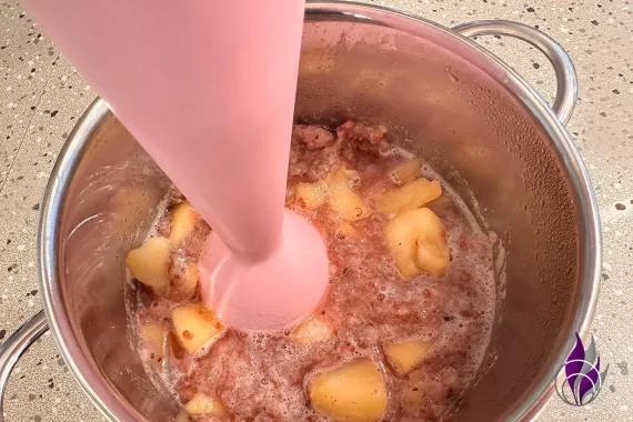 Johannisbeer-Apfel-Aufstrich Rezept Zutaten pürieren fun4family