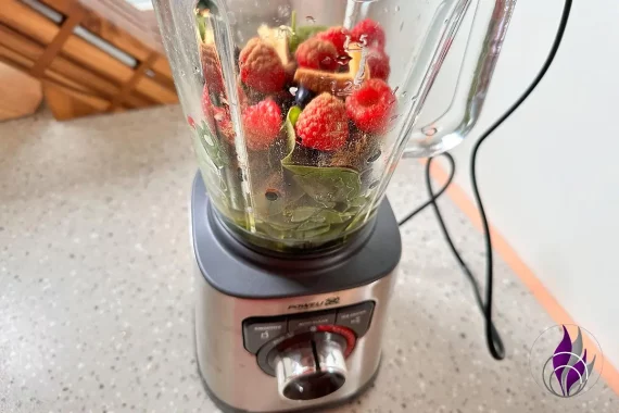 Spinat-Heidelbeer-Himbeer Smoothie Smoothiemaker fun4family